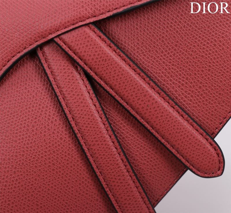 Christian Dior Saddle Bags